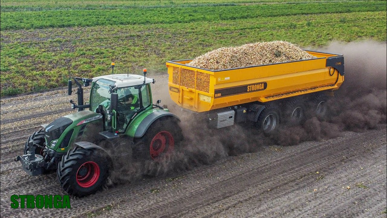 Onion Harvest in the Netherlands with Stronga & Fendt – Summer ‘22