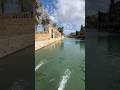 Amcalar niye öyle dedi anlamadım