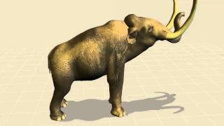 Elephant Into Columbian Mammoth 3D Body Morph