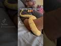 Relaxing with our ball Python, Freya #ballpython #ballpythonsnake #snake #beautifulsnake #reptiles