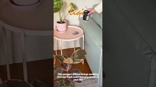 Portable diffuser for smart life