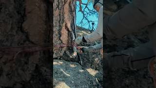 Preview To: Dont Risk Your Life Using Bad Tree Anchors Or Poorly Slung Rocks