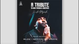 Big Zulu , Mduduzi Ncube & Siya Ntuli -Tribute To Our Friend & Brother(Lala Ngoxolo)[ Audio]