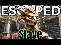 Can She Escape Twice? Escaped Slave Trapped in Dark Brotherhood | Skyrim Roleplay