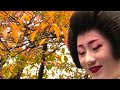 京都・祇園　桜の紅葉が見頃を迎えようとしている巽橋を渡る槇沙子さん（芸妓）　襟替え　Masako(Geiko) , Gion, Kyoto