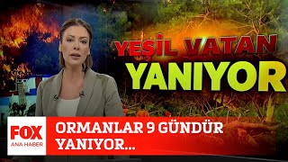 Ormanlar 9 Gündür Yanıyor... 5 Ağustos 2021 Fox Ana Haber