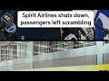 Spirit Airlines shuts down, passengers left scrambling