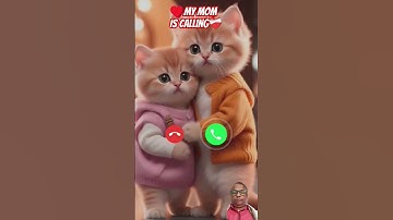 Thumbnail of #ringtone #nadaderingtelepon #ringtones #cat #cute #funny #smartphone #music #bgm #calling