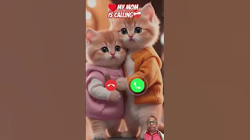 Ringtone Nadaderingtelepon Ringtones Cat Cute Funny Smartphone Music Bgm Calling 