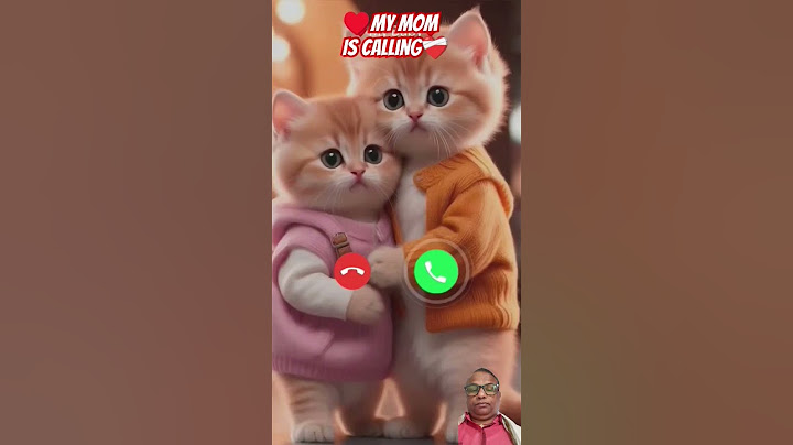 #ringtone #nadaderingtelepon #ringtones #cat #cute #funny #smartphone #music #bgm #calling