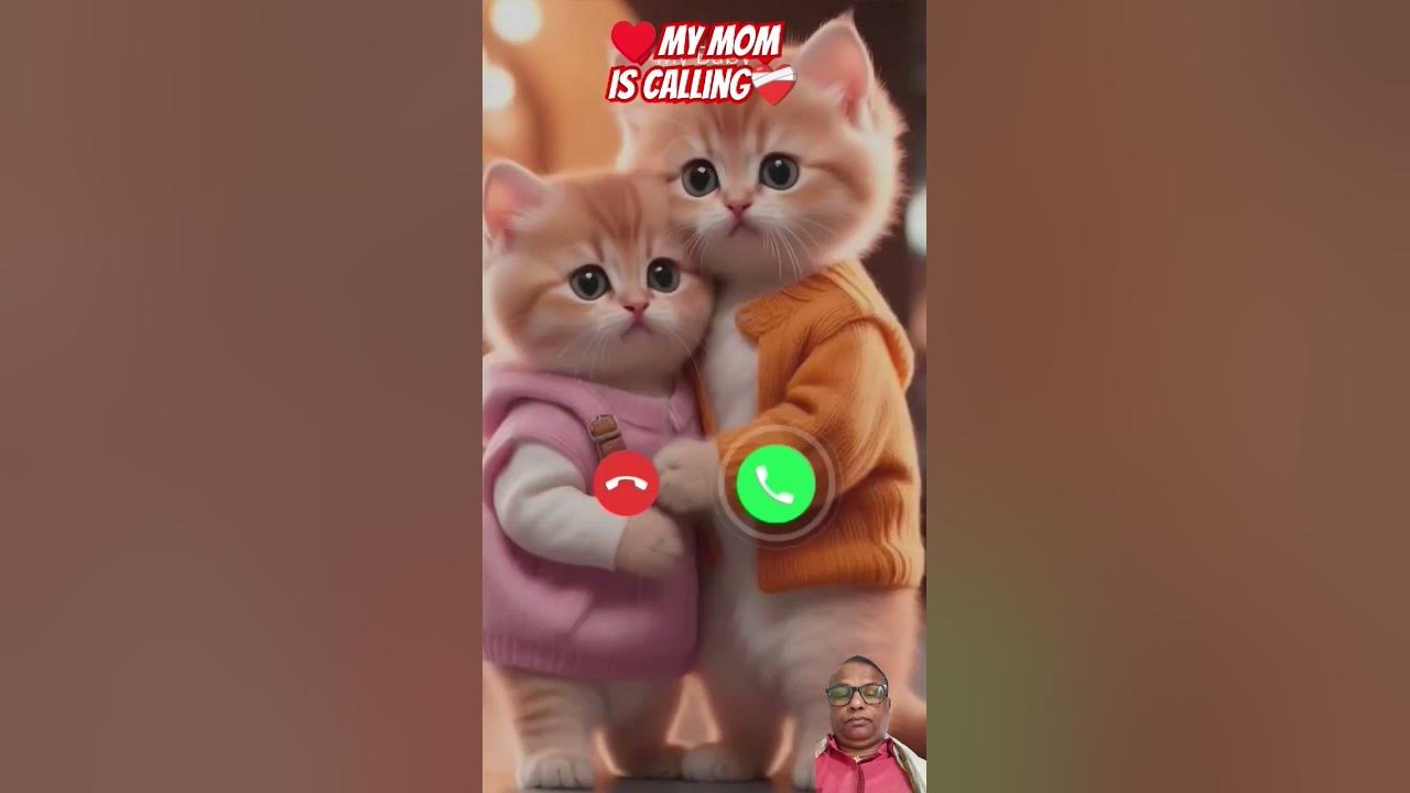 #ringtone #nadaderingtelepon #ringtones #cat #cute #funny #smartphone #music #bgm #calling