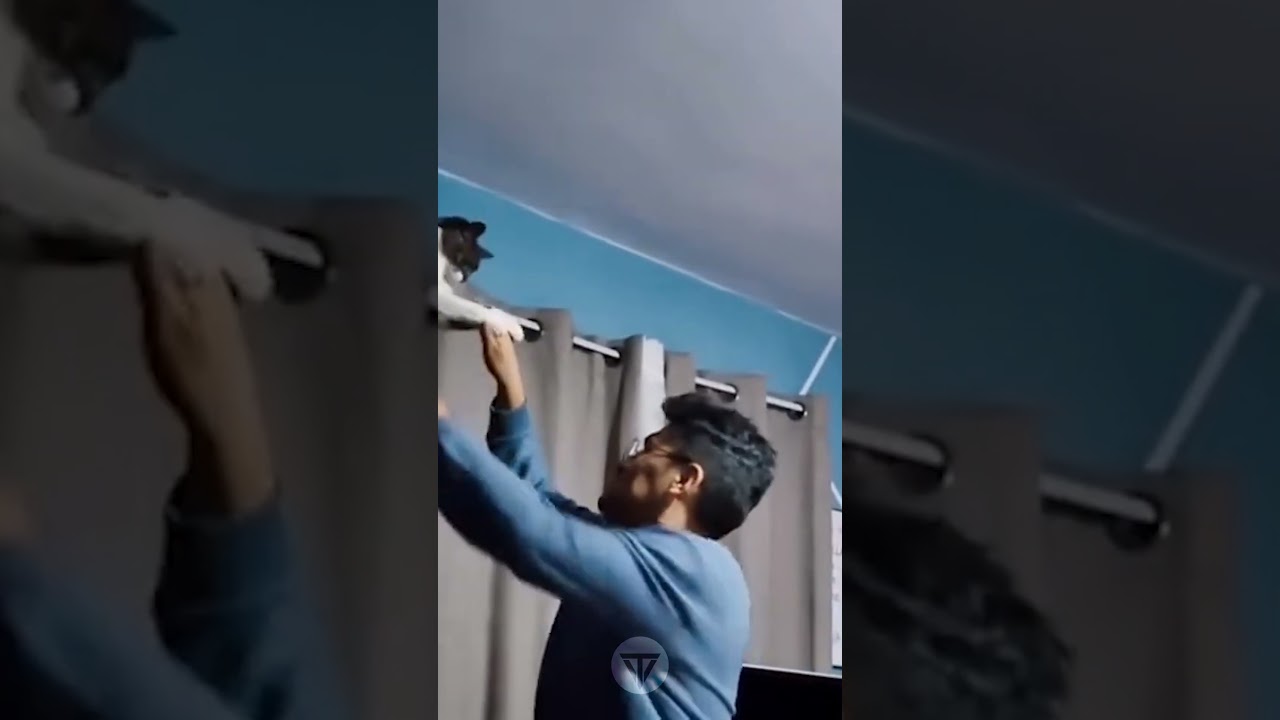 the cat is spitting on him so cutely.