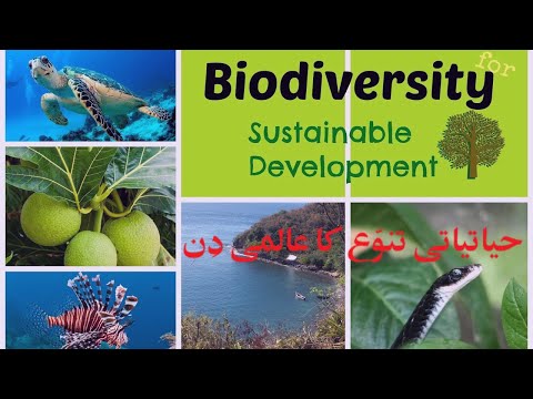 What is Biodiversity? | International Day for Biological Diversity | حیاتیاتی تنوع کاعالمی دن