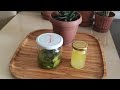 Aloe Vera Yağı Nasıl Yapılır Aloe Vera Yağı Faydaları Nelerdir Nasıl Kullanılır