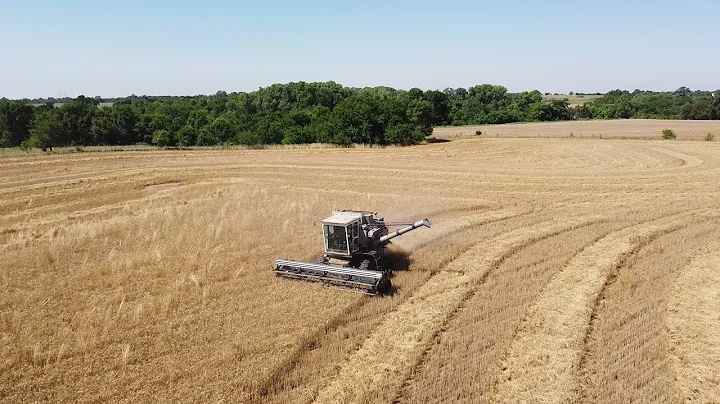 Wheat Harvest 2021 - Harper, Kansas (Part 9)