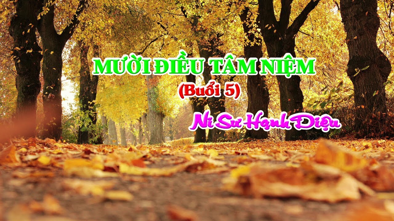 MƯỜI ĐIỀU TÂM NIỆM (Buổi 5) / Ni Sư Hạnh Diệu giảng
