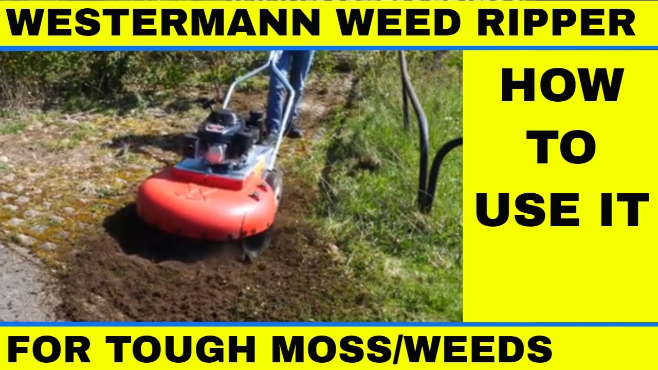 Westermann Weed Ripper for tough moss and weed removal How to use it