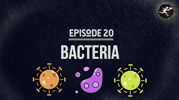 Good Bacteria! - UntamedScience #20