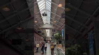 Why I Love Amsterdam in 50 Seconds #Shorts