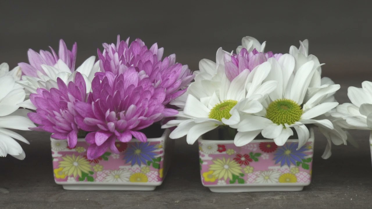 【中古】 花は野にありて/文芸社/萬造寺仗一 良寛 野の花の歌 | 本間 明, , 外山 康雄 |本 | 通販 | Amazon