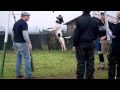 Staffordshire Bull Terrier Sporting Club Italia - Stafford Athletic Legends 2013