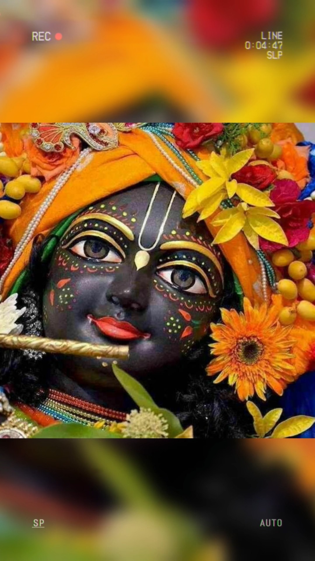 🙏🙏🌷radh e  radhe🌷🙏🙏 - ShareChat