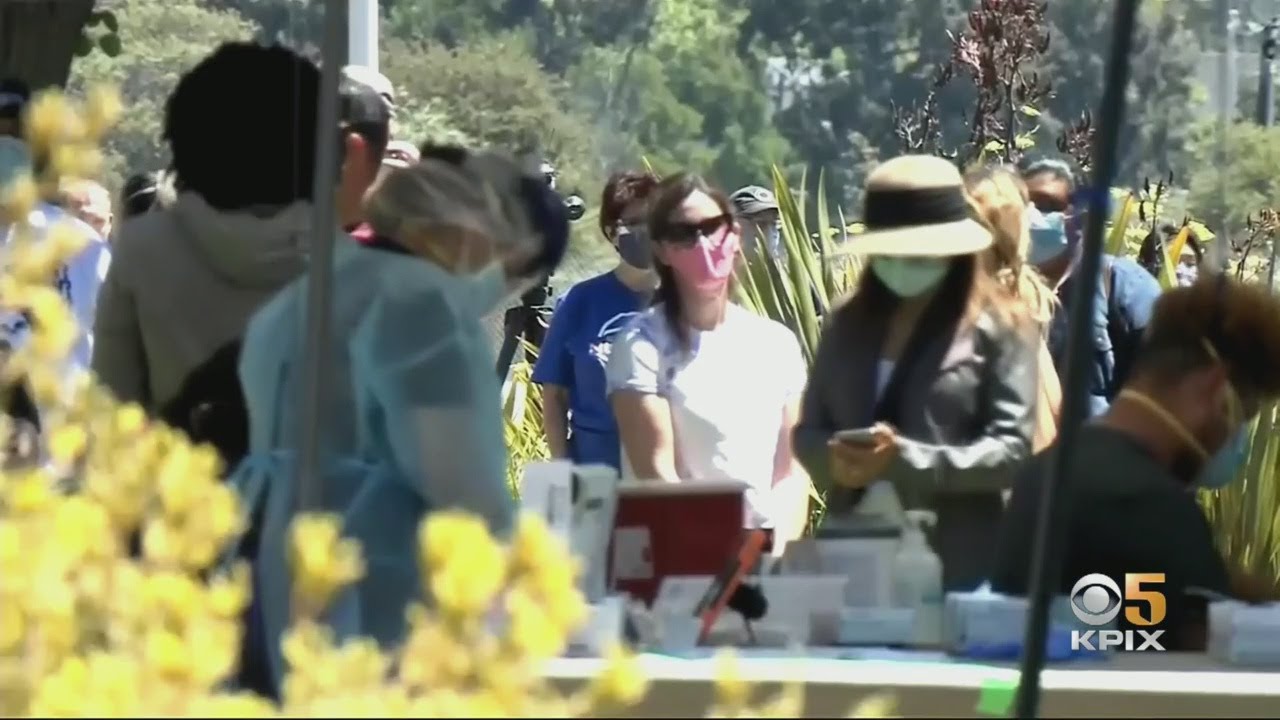Alameda County Has Most Coronavirus Cases In Bay Area YouTube
