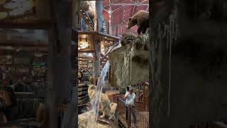 Old Video Elevator At Cabelas In Portage, In