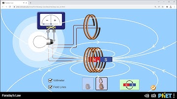 ESci 114 Lab Ex. No. 5 Faraday