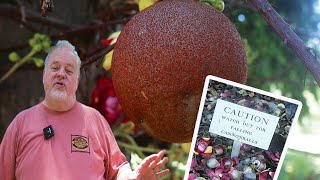 You've Never Seen a Garden Like This in Hawaii
