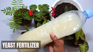 yeast fertilizer  for plants  | best organic liquid fertilizer for plants