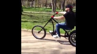 12946557 1679633125636464 1609828890 n