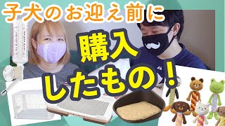 【購入品紹介】ブリーダーさんに聞いたおすすめポイントも！事前に用意したペット用品をお見せします！