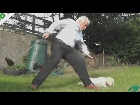 man trips over dog