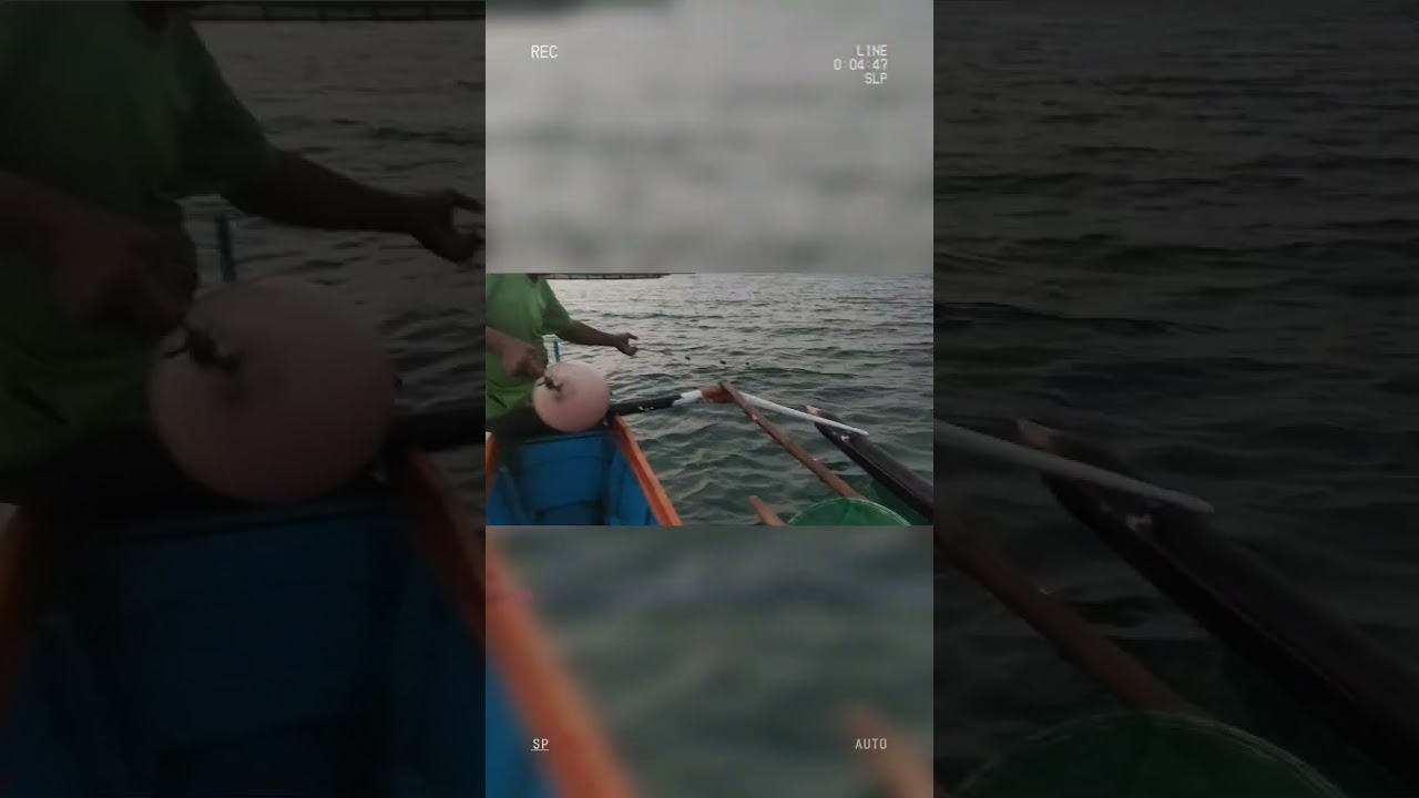 DailyFishing(04-13-24)