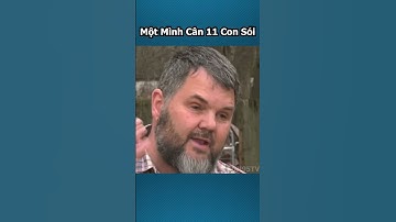 Chú chó dũng cảm chiến đấu với 11 con sói để bảo vệ chủ nhân và đàn cừu!!