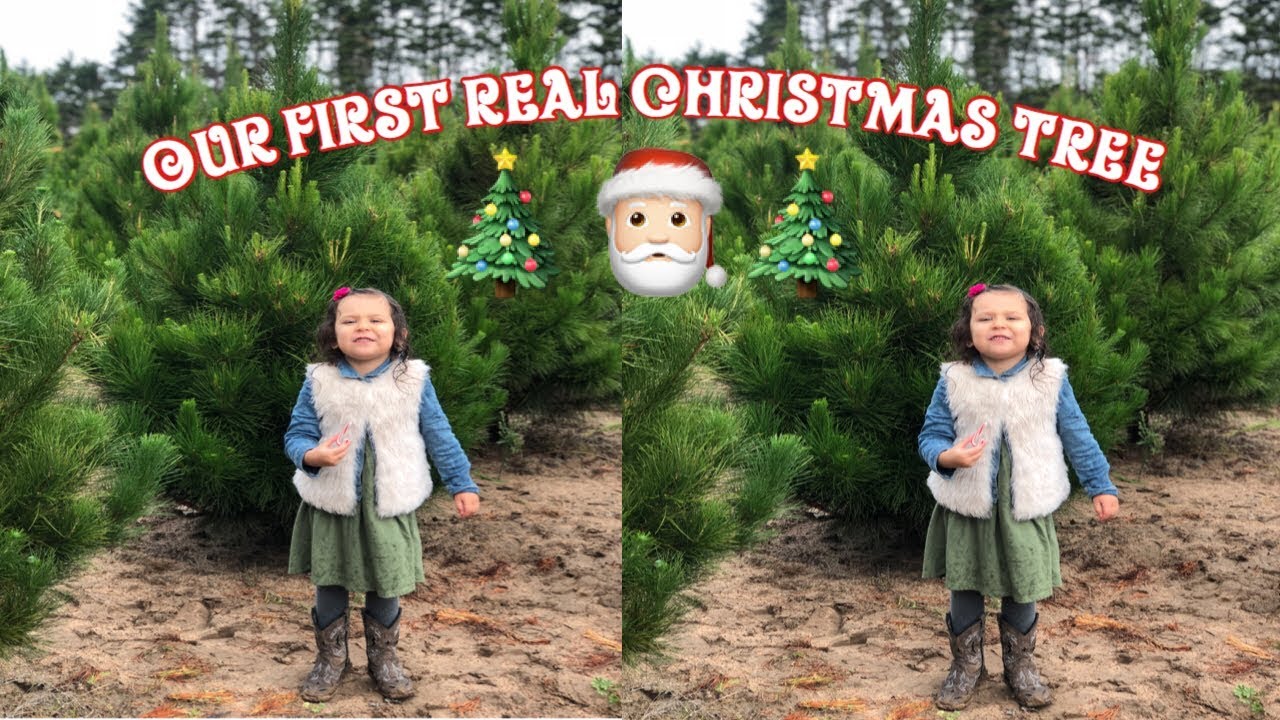 HER FIRST TIME GETTING A REAL CHRISTMAS TREE!! Vlogmas Day 1 - YouTube