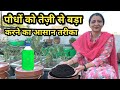 सब पौधों को तेज़ी से बड़ा करने का आसान तरीका,  Grow Your Plants 1000 Times Faster !