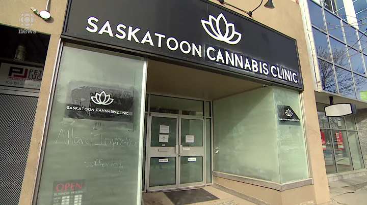 Former employee at illegal cannabis dispensary felt like a small time drug dealer