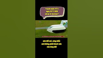 VTV1 nói gì về skyway?