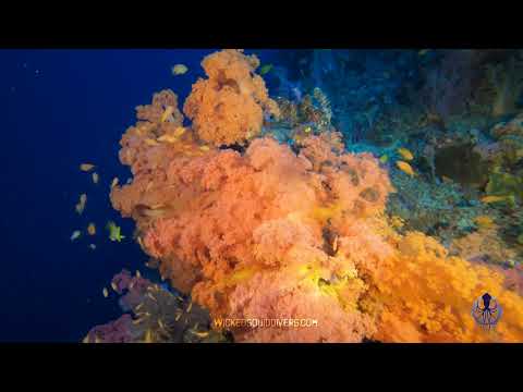 Yapak Deep Wall - Boracay, Philippines