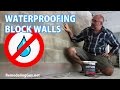 Waterproofing Block Walls with Drylok Extreme