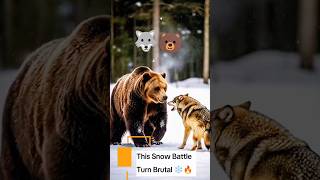 Bear vs Wolf Fight – Who Wins? Brutal Wild Animal Battle Caught on Camera | Wildlife Showdown #viral