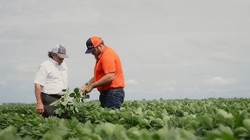 Is There a Better Way to Tissue Test Soybeans?