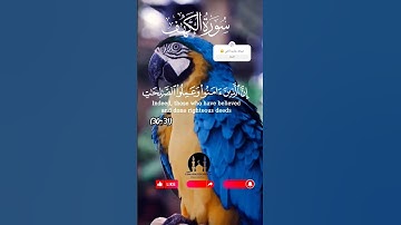 سوره الكهف بصوت القارئ عبدالرحمن مسعد #فلسطين #نور_بين_الجمعتين #قران_كريم