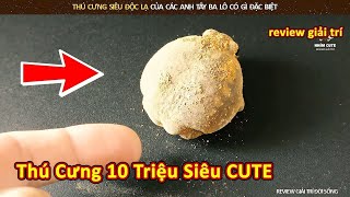 Thú cưng tiền triệu cực kì độc lạ của các anh tây ba lô siêu thú vị || Review Giải Trí Đời Sống screenshot 2