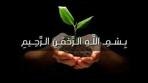 سورة المطففين بمقام الكرد