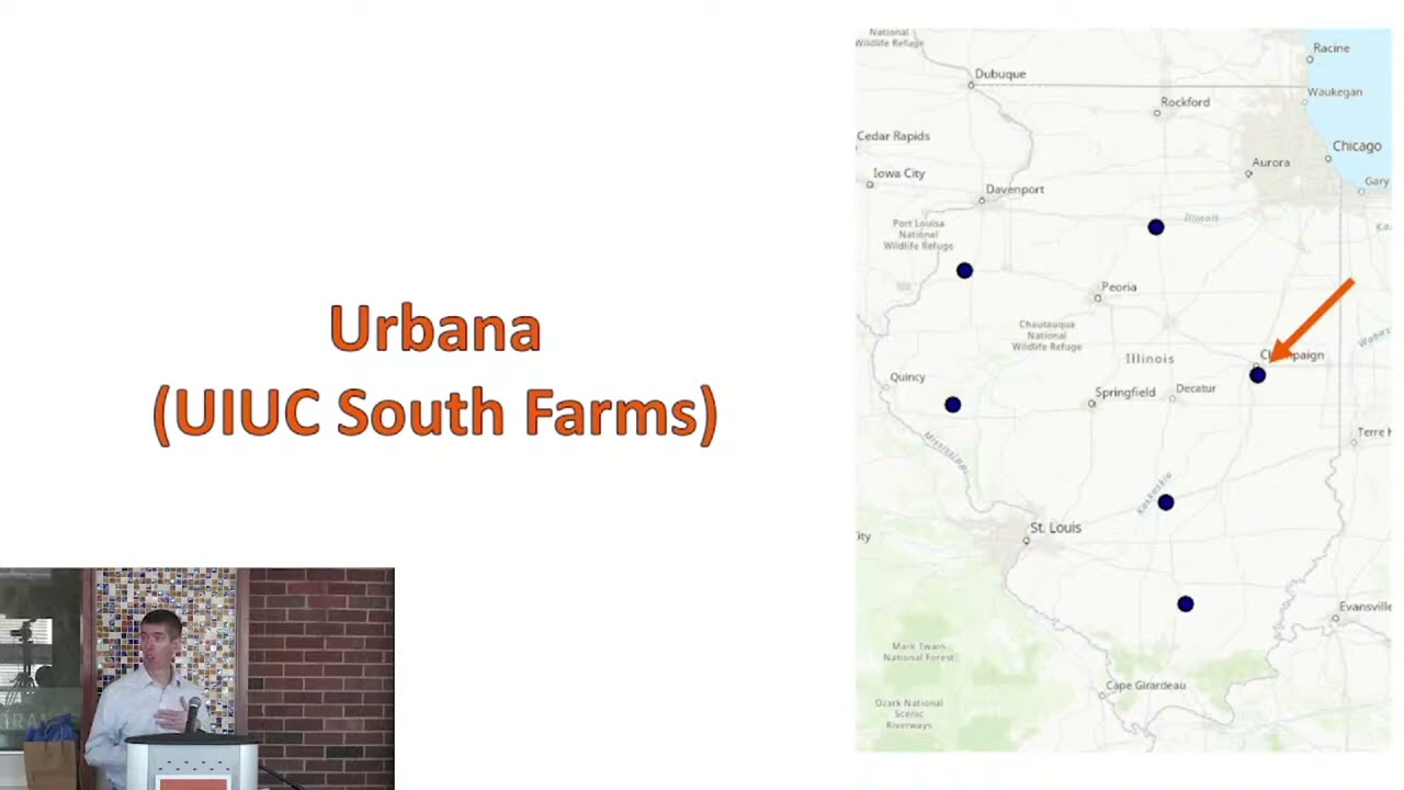 Assessing Insect Pests Effects on Yield and ROI of Pest Control Inputs