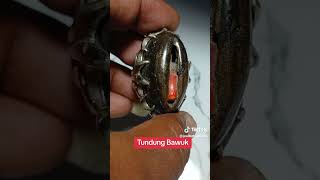 Batu Akik Tundung Bawuk