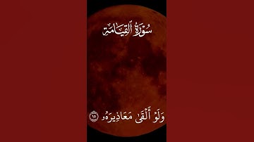 #قران_كريم #خسوف_القمر #سورة_القيامة #ياسر_الدوسري #quran #قرآن